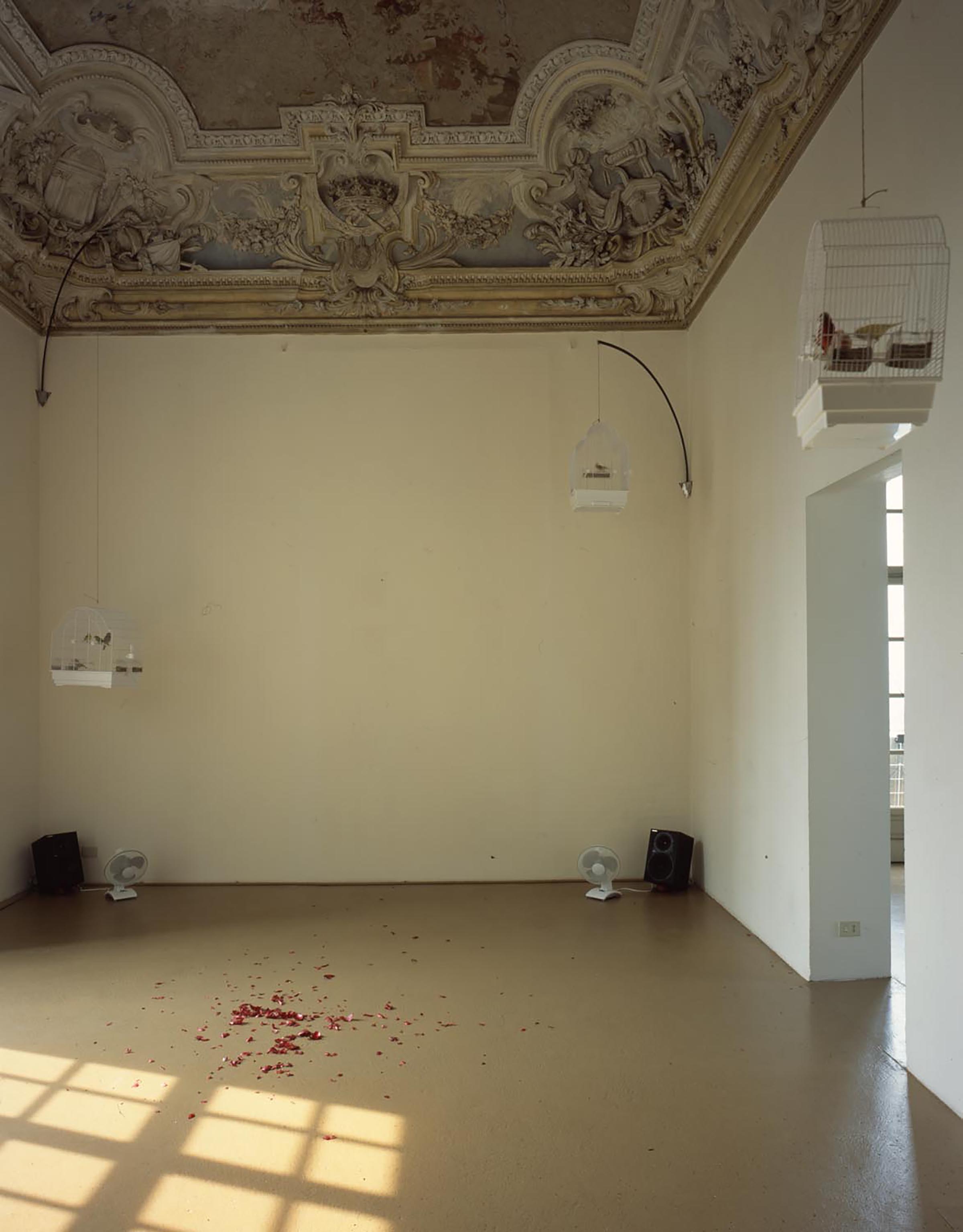 Bruna Esposito, Sereno-variabile, 2002 (detail)